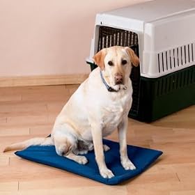 Wag Bag Weatherproof 38"L x 23"W Kennel Pad
