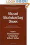 Silica and Silica-Induced Lung Diseases