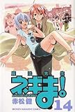 Magister Negi Magi Vol. 14 (Mahousensei Negima!) (in Japanese)
