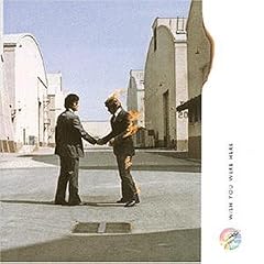 Wish You Were Here [Vinyl LP]