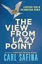The View from Lazy Point