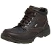 Ecco Men's Country GTX Boot