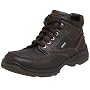 Ecco Men's Country GTX Boot