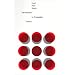 Introduction to Probability Theory