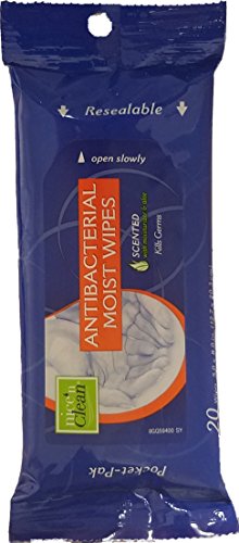 Nice 'n Clean Antibacterial Hand Wipes, 20 Count