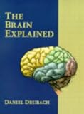 The Brain Explained