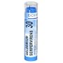 Boiron Homeopathic Medicine Gelsemium Sempervirens, 30C Pellets, 80-Count Tubes (Pack of 5)