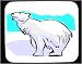 Mouse Pad with arctic, polar, bear, animal