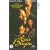 Eve's Bayou [VHS] [1998]