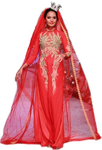 Udesignwecustomize Vietnamese Traditional Dress Ao Dai Mesh Medium Red