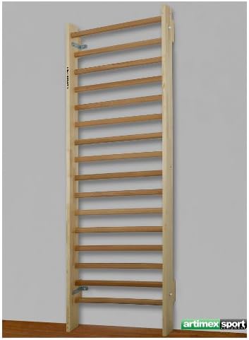 Wall Bar for Rehabilitation and Therapy, Model 221-REHA
