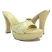 Champagne Lace Satin Slides Wedding Formal Prom