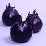 Eggplant Japanese Kamo Seeds