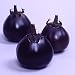 Outdoor Living : Eggplant Japanese Kamo Seeds