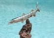 Taxidermy 13" Fiberglass Barracuda Sculpture Statue