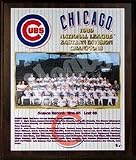 1989 Chicago Cubs National League East Division Champions 11 x 13 Plaque from Healy Pro