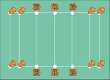 FLAG FOOTBALL LINING PACKAGE