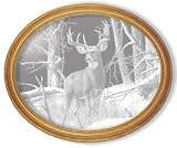 Decorative Etched Mirror - Wildlife Deer Art Etching, Oval Solid Hardwood Framed Wall Mirror, 19 x 23 inches