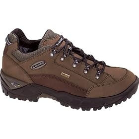 Lowa Men's Renegade GTX Lo Hiking Shoe