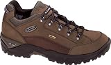 Men's Lowa Renegade GTX Lo