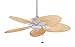  : Fanimation FP7500MW Windpointe Five Blade Matte white Tropical Ceiling Fan 44