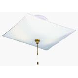 Westinghouse #66200 2 Light SQ Ceiling Fixture by WESTINGHOUSE LIGHTING CORP