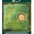 Billion Dollar Babies [DVD AUDIO]