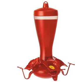 hummer feeder