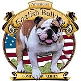 American English Bulldog Adult T-Shirt