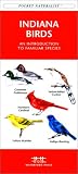 Indiana Birds