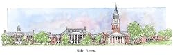 Wake Forest University - Collegiate Sculptured Ornament