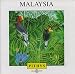 Music : Malaysia