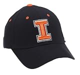 Illinois Adult Team Color One-Fit Hat (Small)
