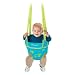 Evenflo Classic Johnny Jump Up - Frogs