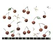Cherries - Fresh, Original Design on a Pure Cotton Kitchen Towel
