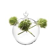 Chive Hudson 4 Small Hanging Sphere Vase