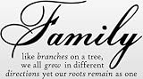 Family Like Branches On A Tree vinyl lettering wall sayings home art decor