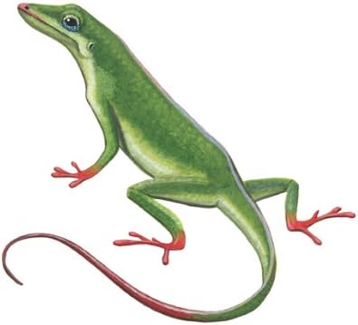 Wild Life Animals Wall Sticker Mural Lizard
