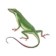 Wild Life Animals Wall Sticker Mural Lizard