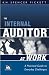The Internal Auditor at Work: A Practical Guide to Everyday Challenges (IIA (Institute of Internal Auditors) Series)