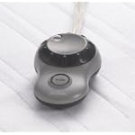 Sunbeam Royal Warmth Twin Heated Mattress Pad