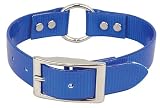 Sunglo Ring-In-Center Style Collars - 3/4 in. x 20 in. - Blue