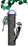 Perky Pet 395 10 inch Sunflower Seed and Peanut Feeder, 1.25 lb capacity