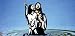 Baptism - Rear Window Graphic 18 x 52
