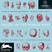 Images of the Human Body (Agile Rabbit Editions)