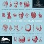 Images of the Human Body (Agile Rabbit Editions)