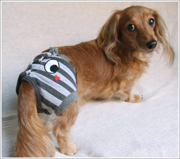 安心パンツ グレーボーダー L IDOG眼狗补丁边