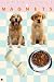 Kitchen & Housewares : Golden Retriever Gift Set of 4 Magnets