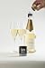 Capabunga CapaBubbles Sparkling Wine Bottle Stopper, Bubbles, Reusable Bottle Cap Good Day, Seal Open Bottles to Preserve Sparkling Wine, Beer or Other Carbonated Beverages