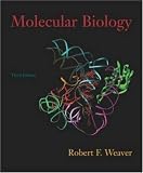 Molecular Biology